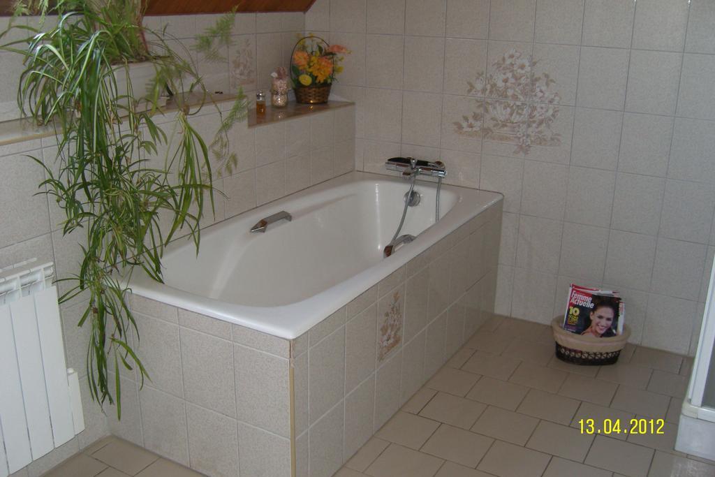 Apartamento Manoir de Rouillé Saint-Aubin-d'Appenai Habitación foto